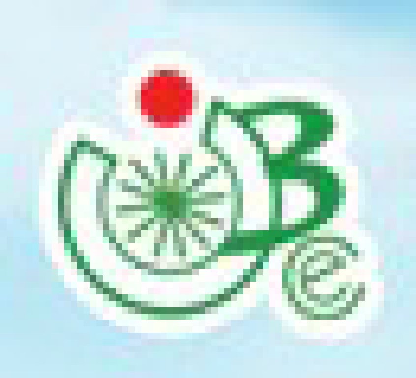 2011第29屆中國江蘇國際自行車、電動(dòng)車及零部件交易會(huì)